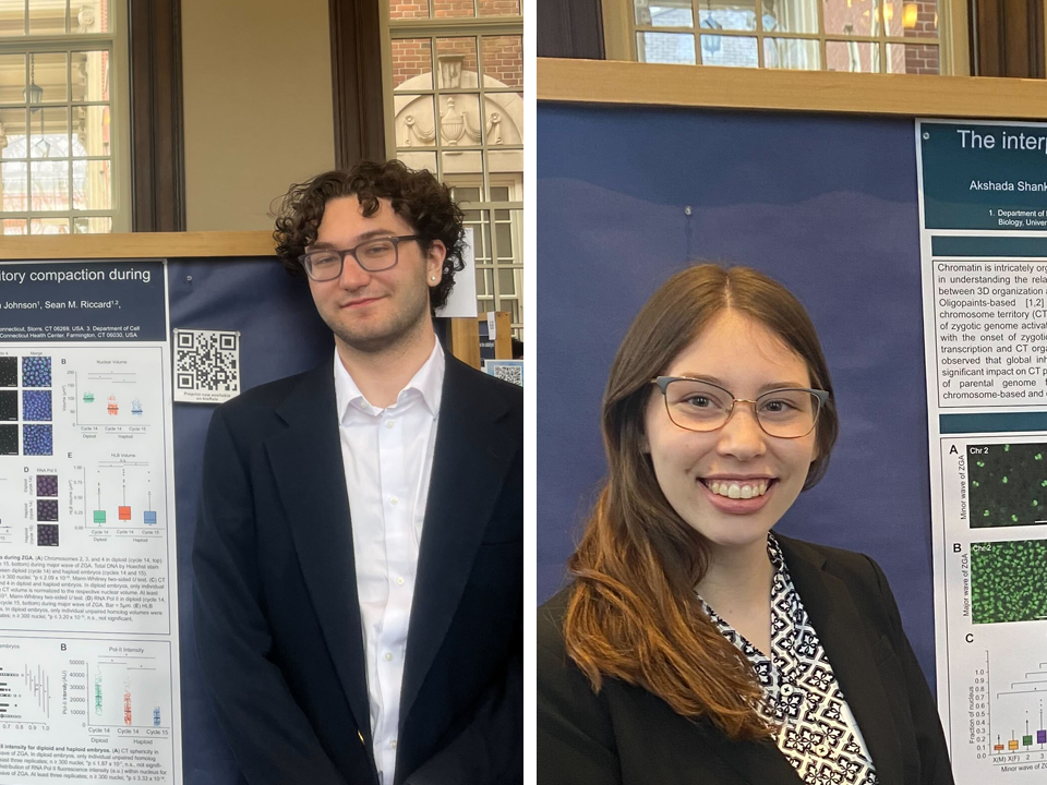 Undergrads present their posterboards