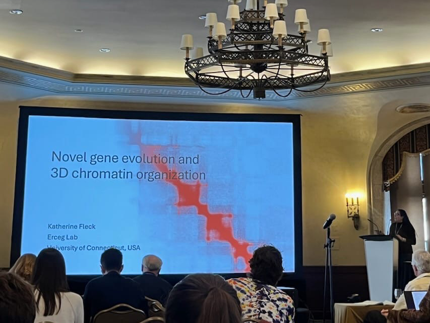 Katherine presenting her work standing at the podium