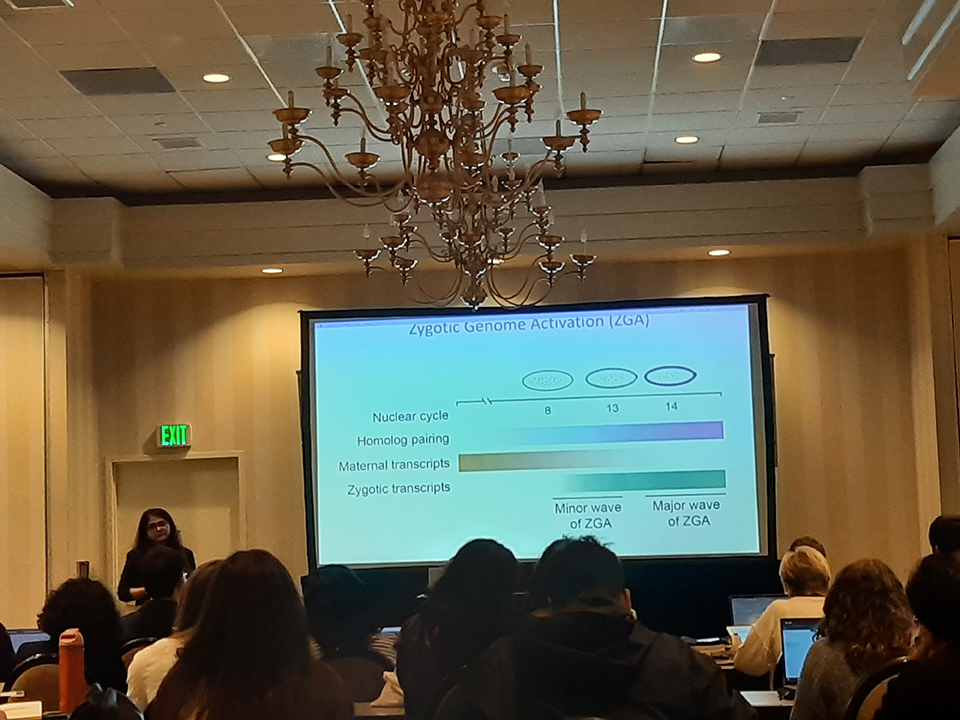 Akshada presenting in front of her presentation at a seminar