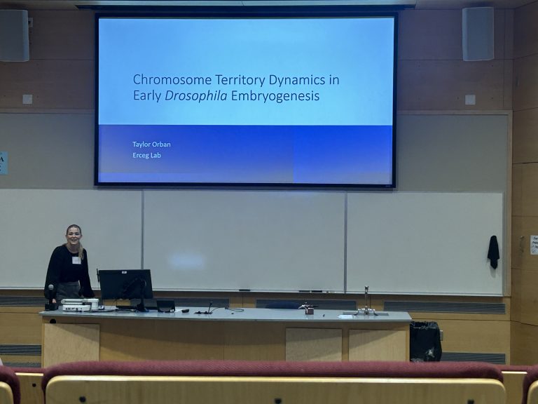 Taylor Orban presenting at a Colloquium